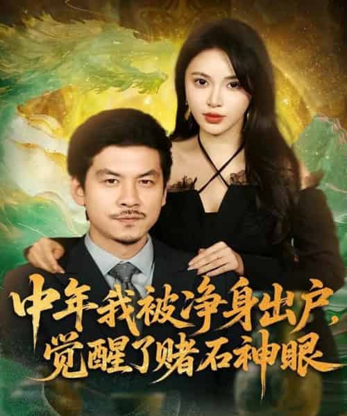 中年我被净身出户,觉醒了赌石神眼(80集全)柯珂(柯以)&王辉-紫橙网创项目网