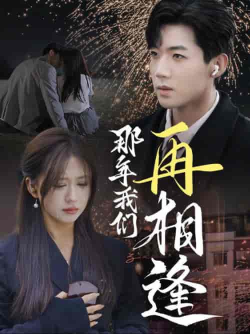 那年我们再相逢（65集全）张北淅＆柴慧欣 - 紫橙阁短剧