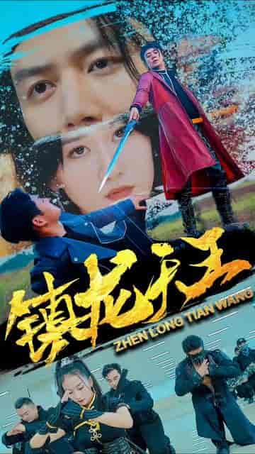 镇天龙（100集） - 紫橙阁短剧