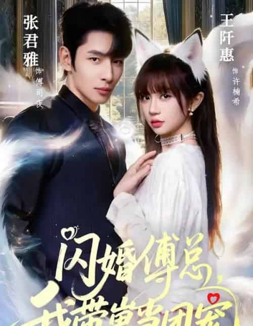 闪婚傅总,我带崽当团宠(85集全)张君雅&王阡惠-紫橙网创项目网