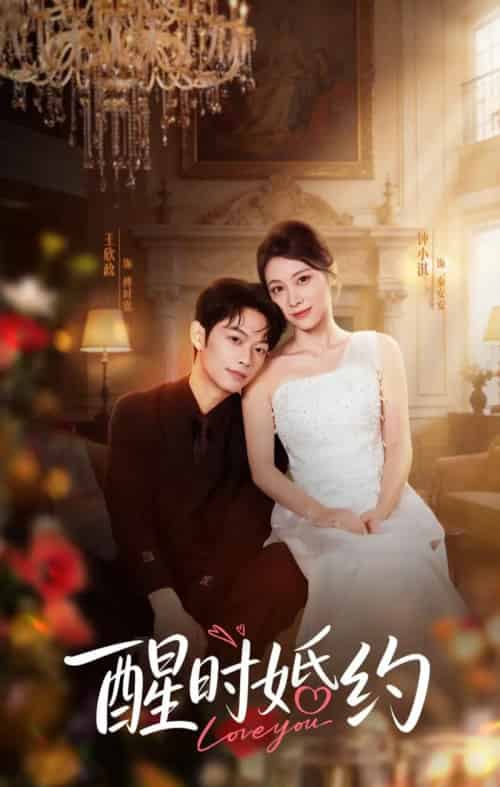 醒时婚约（65集全）王欣政＆钟小淇-紫橙网创项目网