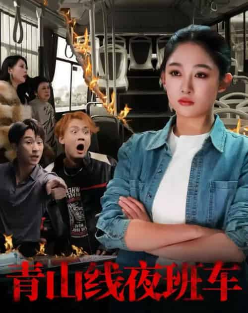 青山线夜班车（63集全）张亚迪＆魏战-紫橙网创项目网