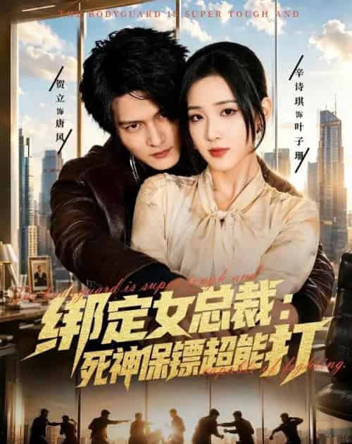 绑定女总裁:死神保镖超能打(80集全)贺立&辛诗琪-紫橙网创项目网