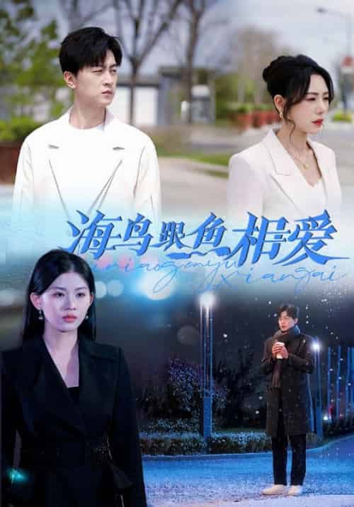 海鸟跟鱼相爱（60集全）宋云川＆温言 - 紫橙短剧