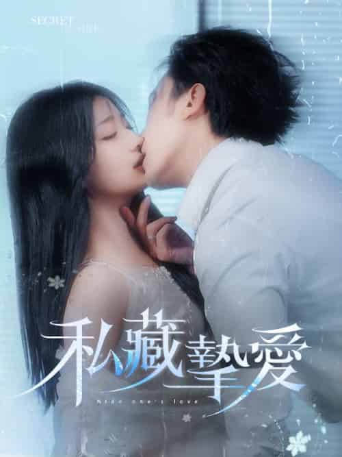 私藏摯愛（100集全）南夜爵＆容恩 - 紫橙海外短剧