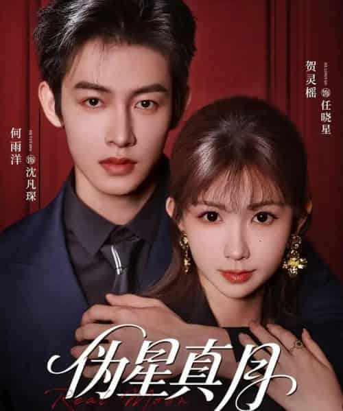 伪星真月（81集全）何雨洋＆贺灵榣-紫橙网创项目网