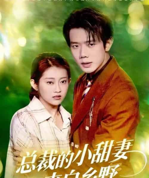 总裁的小甜妻来自乡野(127集全)何连飞&崔馨心-紫橙网创项目网