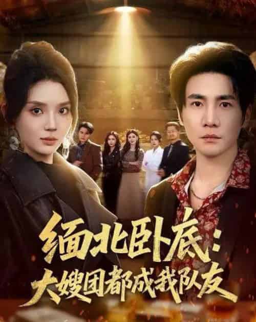 缅北卧底:大嫂团都成我队友(71集全)李想&文静-紫橙网创项目网