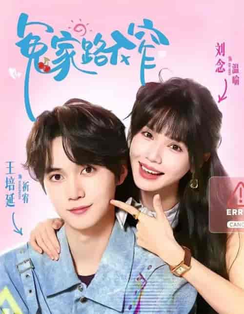 冤家路不窄（81集全）王培延＆刘念-紫橙网创项目网