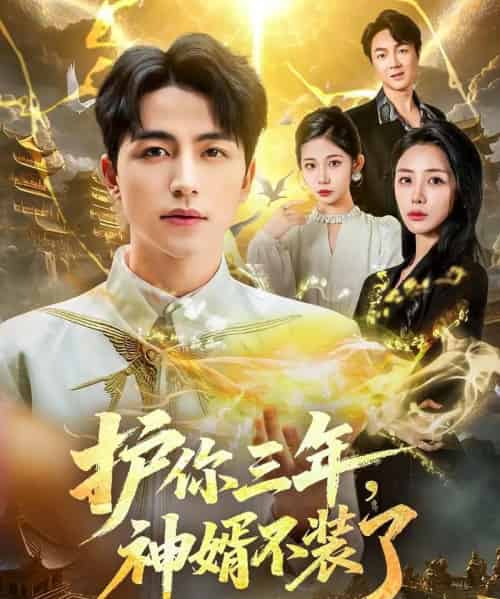 护你三年，神婿不装了（60集全）吴昊＆张嘉妤-紫橙网创项目网