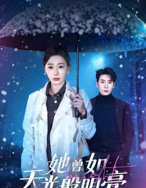 她曾如天光般明亮（70集全）刘博洋＆刘亚倩-紫橙网创项目网