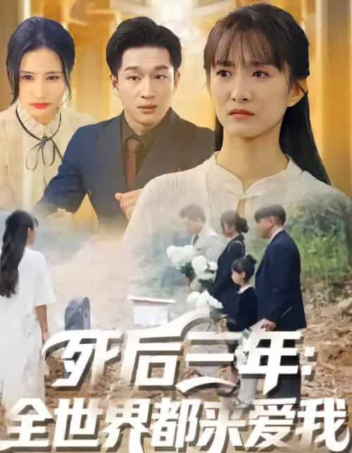 死后三年：全世界都来爱我（30集全）王斌超＆王楚-紫橙网创项目网