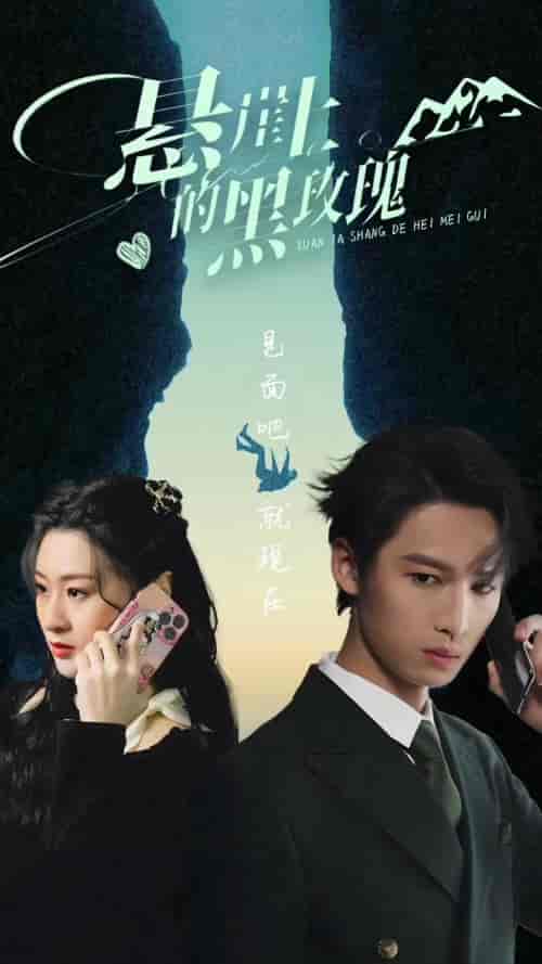悬崖上的黑玫瑰（101集） - 紫橙阁短剧