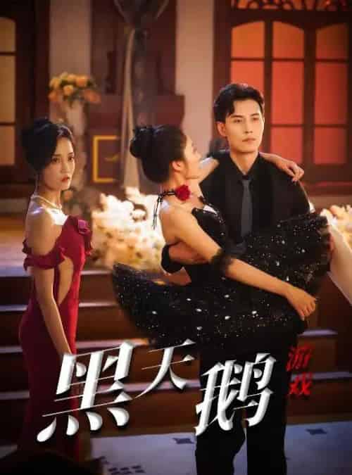 黑天鹅游戏（60集）宋喃＆郭美林子 - 紫橙阁短剧