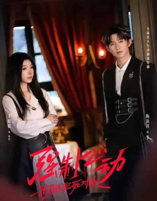 强制心动：开局匹配死对头2（20集全）王格格＆陈添祥＆陈子露-紫橙网创项目网