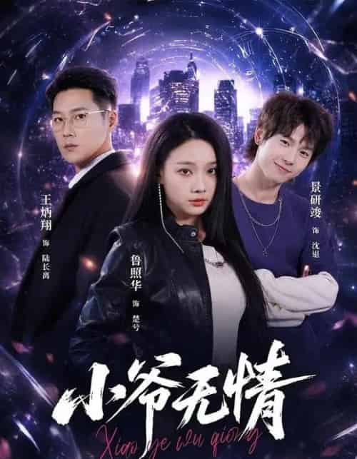 小爷无情(75集全)景研竣&鲁照华&王炳翔-紫橙网创项目网