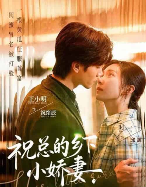 祝总的乡下小娇妻（79集全）时一＆王小明-紫橙网创项目网