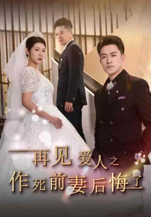 再见爱人之作死前妻后悔了 再见爱人之作死前妻后悔了