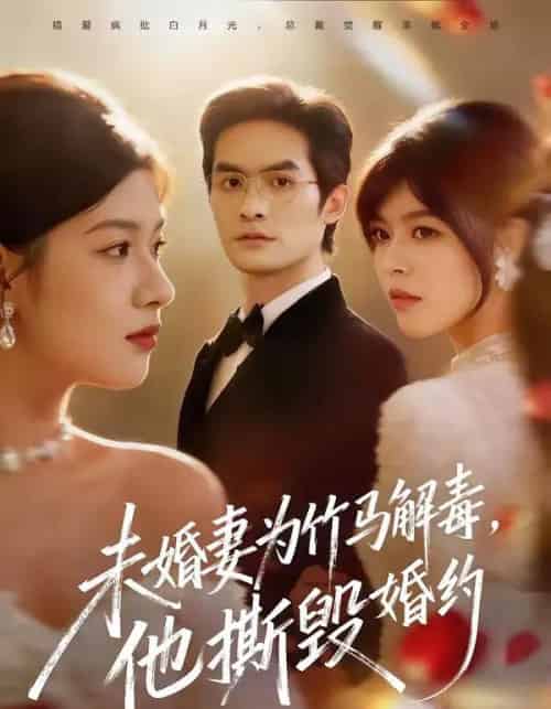 未婚妻为竹马解毒，他撕毁婚约（41集全）陈寻秋＆程新茸-紫橙网创项目网