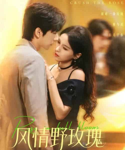 风情野玫瑰＆揉碎玫瑰（70集全）方思畅＆冯子毅-紫橙网创项目网