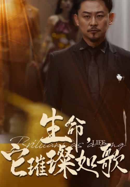 生命，它璀璨如歌（60集全）张兆臣＆王雨瑶 - 紫橙阁短剧