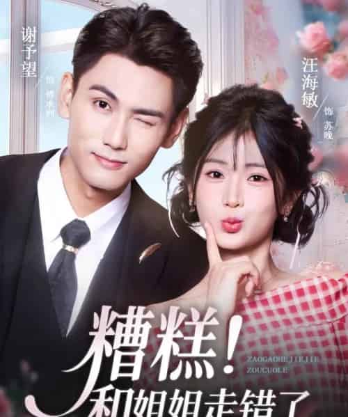 糟糕！和姐姐走错了（124集全）谢予望＆汪海敏-紫橙网创项目网