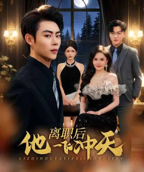 离职后他一飞冲天（80集全）肖智夫＆李姿伟-紫橙网创项目网