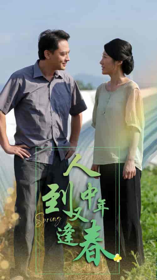 人到中年又逢春（61集全） - 紫橙阁短剧