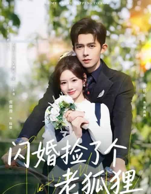 闪婚捡了个老狐狸（79集全）乔佳乐＆雷馥缦-紫橙网创项目网