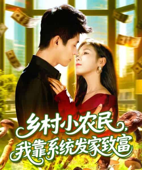 乡村小农民，我靠系统发家致富 （100集全） 朱佳琪＆韩雨轩-紫橙网创项目网