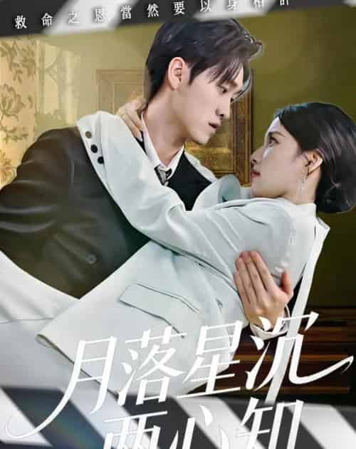 月落星沉两心知（40集全）安彤＆舒金铸-紫橙网创项目网