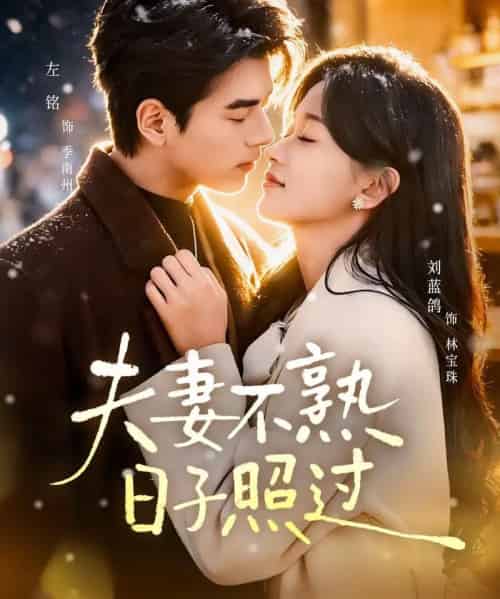 夫妻不熟，日子照过（80集全）左铭＆刘蓝鸽-紫橙网创项目网