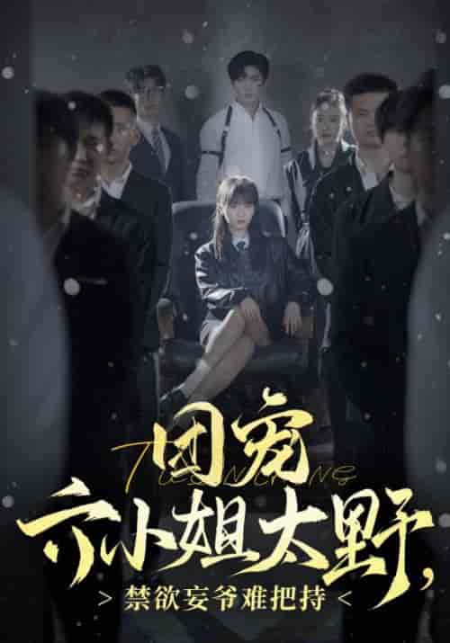 团宠六小姐太野，禁欲妄爷难把持（90集全）张北淅 - 紫橙阁短剧
