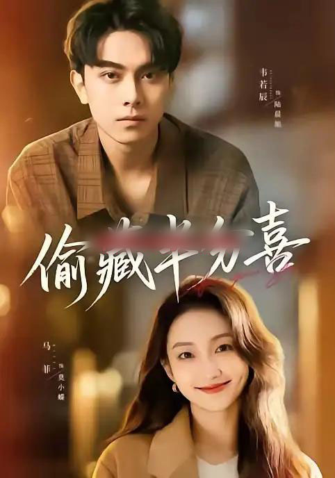 偷藏半分喜(81集全)韦若辰&马菲-紫橙网创项目网