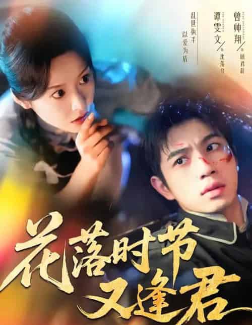 花落时节又逢君（61集全）曾帅翔＆谭雯文-紫橙网创项目网