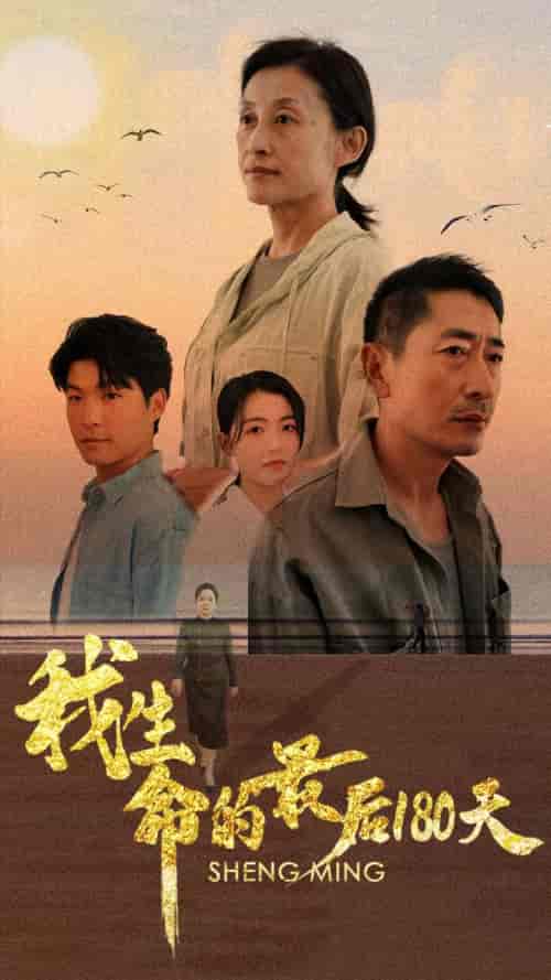 我生命的最后180天（80集全） - 紫橙阁短剧