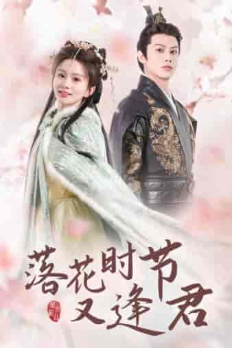 落花时节又逢君＆嫁给厂工大人（85集）马秋元 - 紫橙短剧