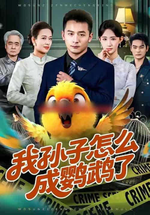 我孙子怎么成鹦鹉了(71集全)何其炜&袁初年-紫橙网创项目网