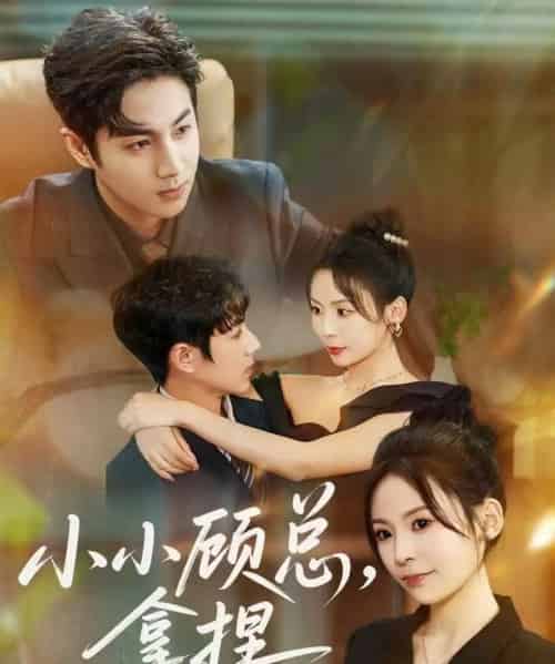 小小顾总拿捏（82集全）谷聿扬＆田珍-紫橙网创项目网