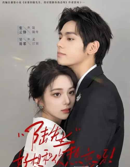 陆先生好想和你热恋呀（67集全）张云铮＆吴易霏-紫橙网创项目网