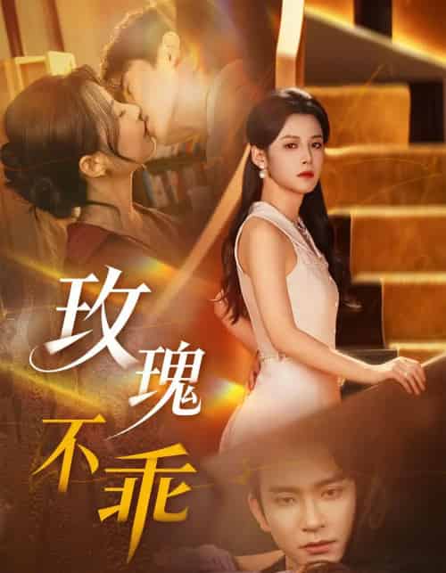 玫瑰不乖（69集全）王已歌＆谭雯文-紫橙网创项目网