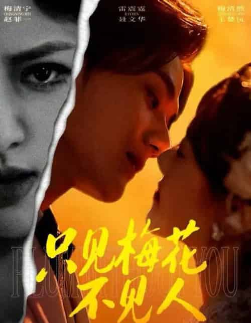 只见梅花不见人＆梅花落尽时（63集全）聂文华＆王楚沅-紫橙网创项目网