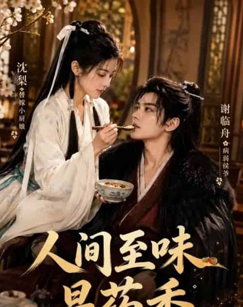 人间至味是药香(129集全)AI-紫橙网创项目网