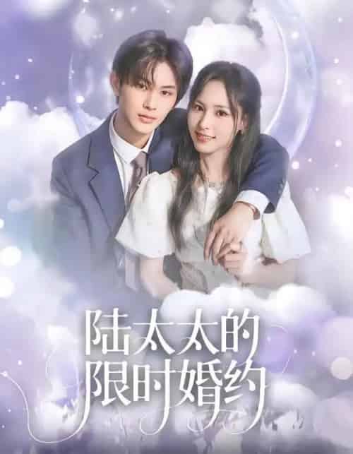 陆太太的限时婚约（60集全）张亿＆蒋非琳 - 紫橙阁短剧