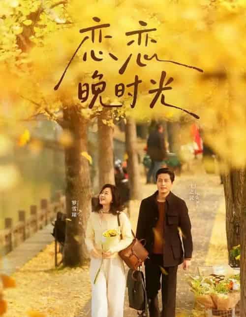 恋恋晚时光（70集全）王之民＆罗雪琼-紫橙网创项目网