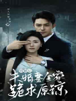 毁婚后未婚妻全家跪求原谅（30集）诸玲颖 - 紫橙阁短剧