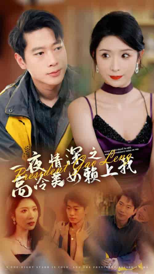 一夜情深之高冷美女赖上我（71集全）张子安＆蒋昕妍 - 紫橙阁短剧