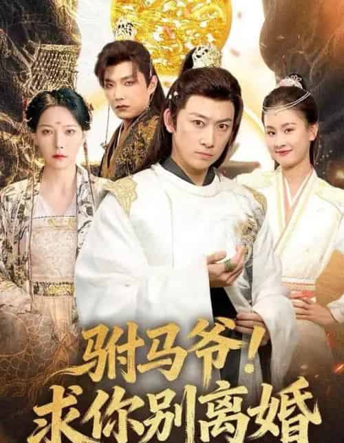 驸马爷!求你别离婚(80集全)马东辰&千歆-紫橙网创项目网