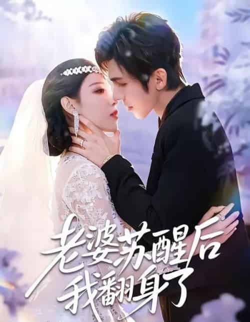 老婆苏醒后我翻身了(57集全)刘旭&刘欣然-紫橙网创项目网