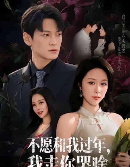 不愿和我过年，我走你哭啥（74集全）肖涵＆钟莹玲-紫橙网创项目网